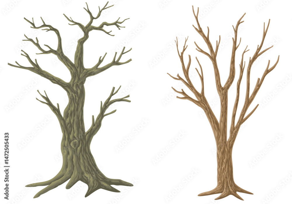 Fototapeta premium Picture set of big trees without leaves , dead old trees on ,White background ,vector illustration
