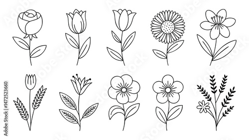 A collection of simple line art illustrations of various flowers and plants