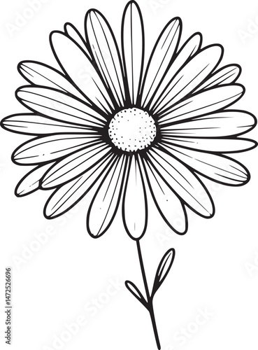 This is an illustration of flowers in a simple and modern line art style.