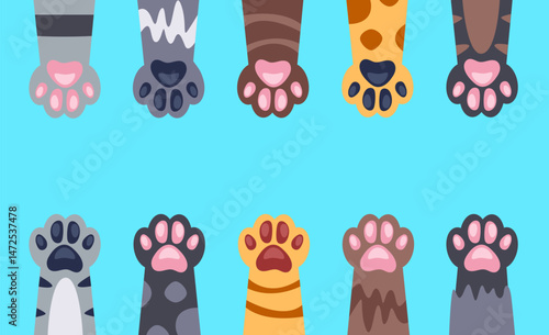 Animal cat dog paw in human hand adoption adopt concept. Vector graphic design illustration