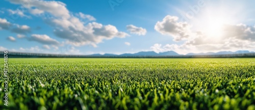 Grass field under a sunny sky