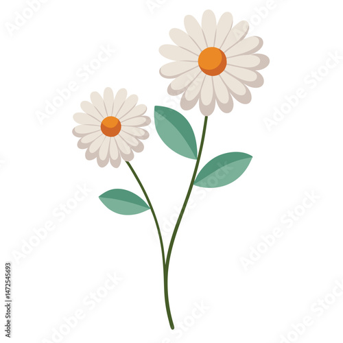 Two simple daisy flowers with green leaves vector illustration isolated on white