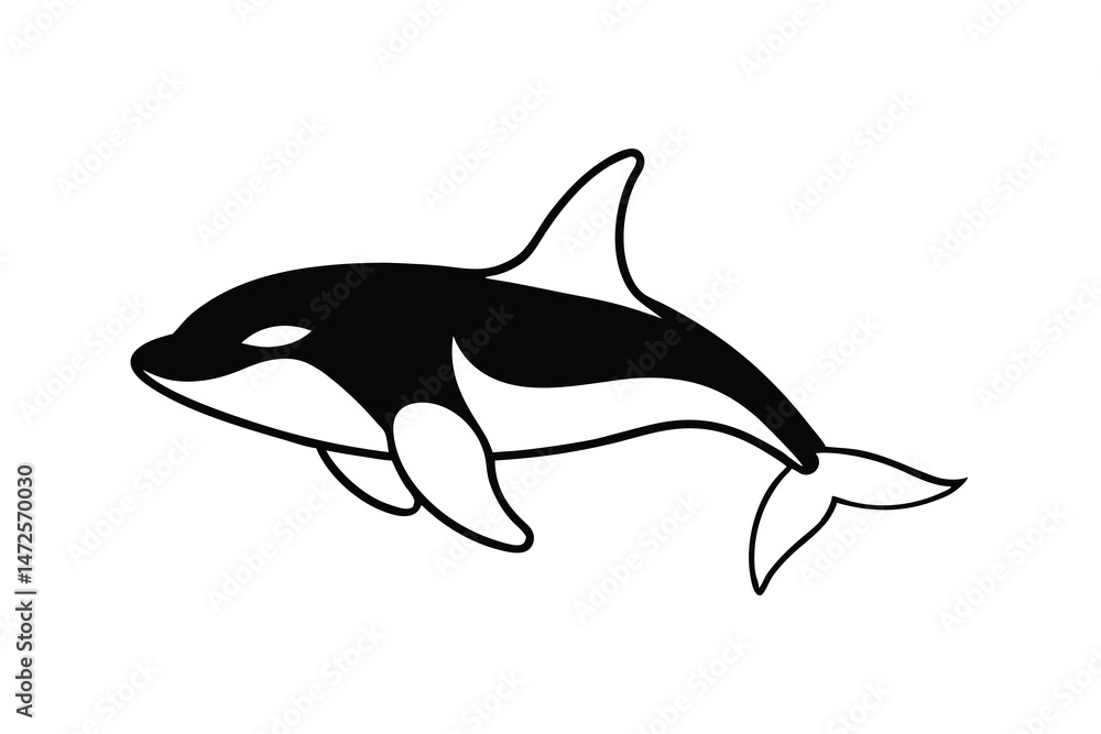 Obraz premium dolphin isolated on white