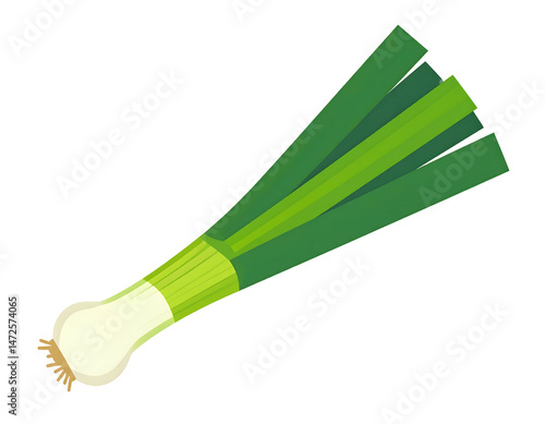 Fresh green onion and celery root are isolated healthy organic vegetables