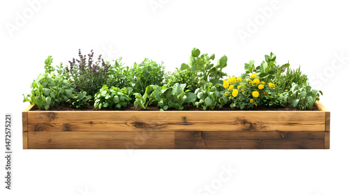 Fototapeta Naklejka Na Ścianę i Meble -  Lush wooden raised garden bed filled with various greenery and flowers