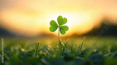 Three-leaf clover in sunset