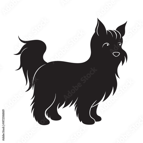 Yorkshire Terrier Tilting Head In Curiosity Silhouette