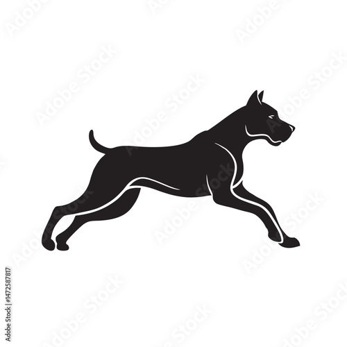 Boxer Dog Running In Open Field Silhouette