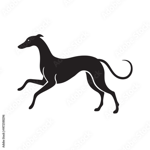 Cavalier Spaniel Trotting In Park Silhouette