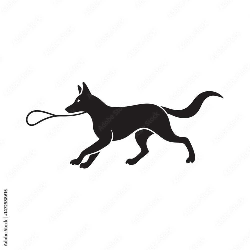Fototapeta premium Belgian Malinois Running With Fetch Stick Silhouette