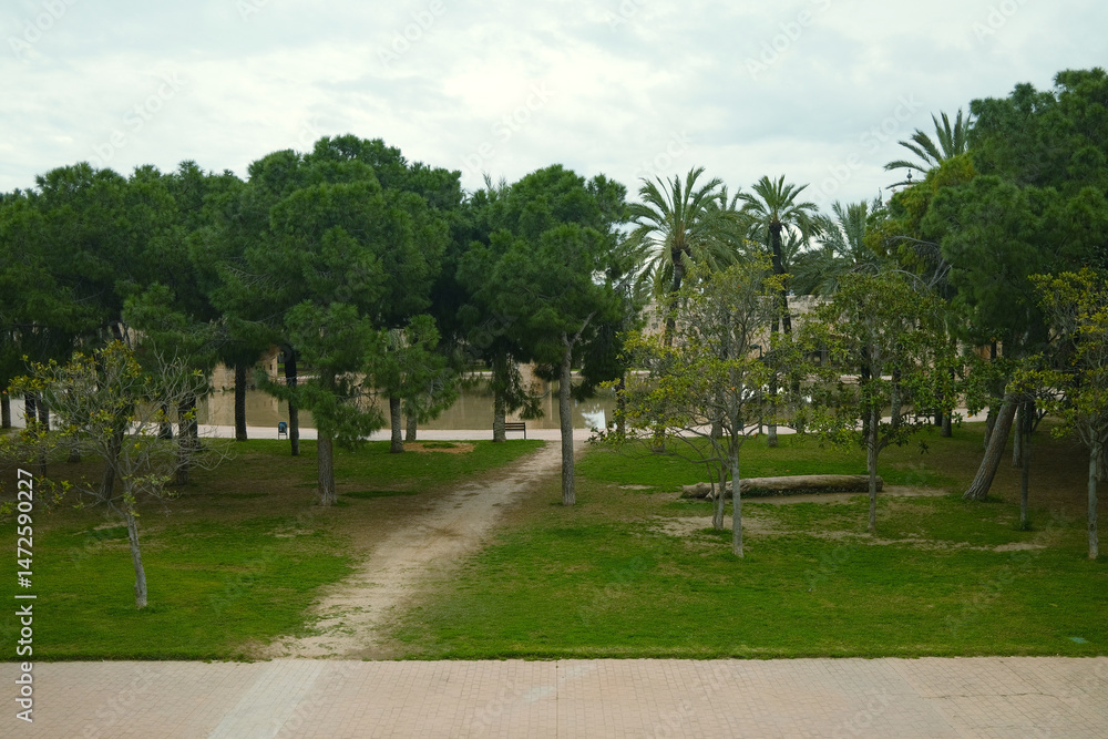 Fototapeta premium path in the park