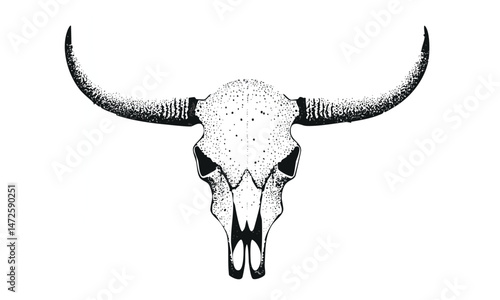 Longhorn Bull Skull Ink Drawing