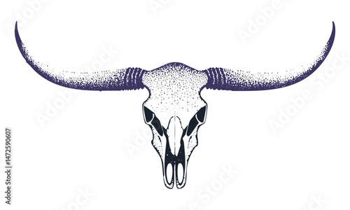 Cow Skull with Large Curved Horns