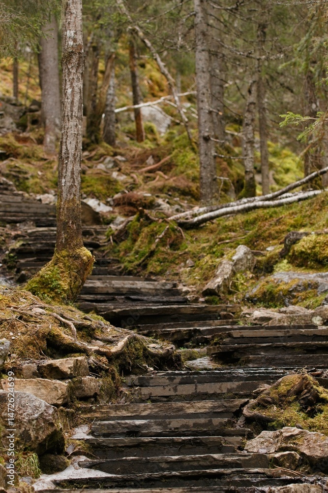 Stairs made of stone slabs along the Stor-Fättjeån river in northern Sweden Stairs made of stone slabs along the Stor-Fättjeån river in northern Sweden