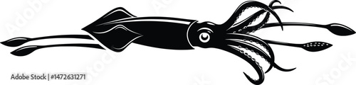 Dynamic Vector Animal Squid Illustration