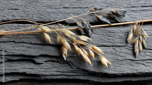 Delicate ears of dried grain rest on weathered wooden planks, illustrating rustic charm and nature's elegance.
