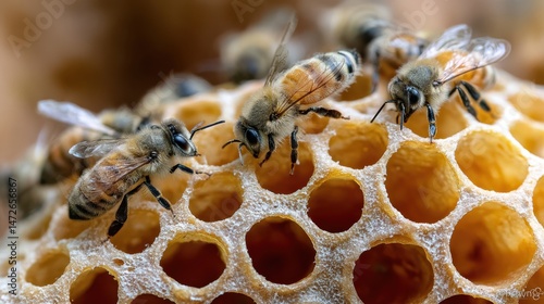Honeybees diligently working over a sunlit honeycomb, showcasing the intricate beauty of nature and the industrious spirit of bees.
