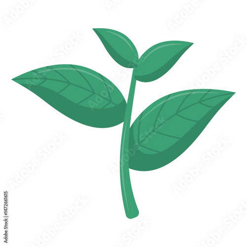 Fresh green organic tea leaves
