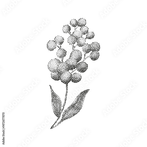 Grunge vintage flowers in halftones. Aesthetic graphic tattoo. Gothic punk poster.