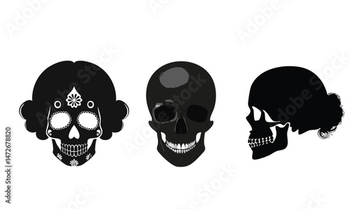 Side Profile Human Head Cross Section