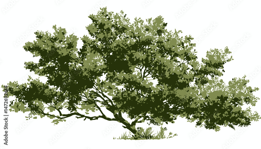 Fototapeta premium Watercolor Blooming Flower Tree Vector � Side View Green Tree for Landscape, Architecture, and Garden Section Design