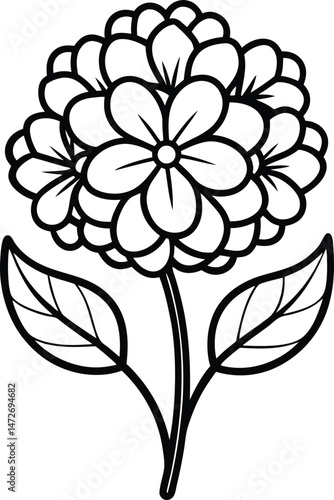 verbena flower outline icon black and-white vector
