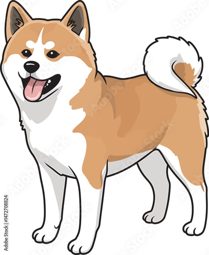 Akita Dog breed vector