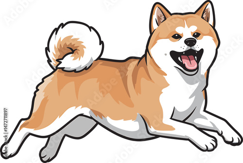 Akita Dog breed vector