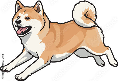 Akita Dog breed vector