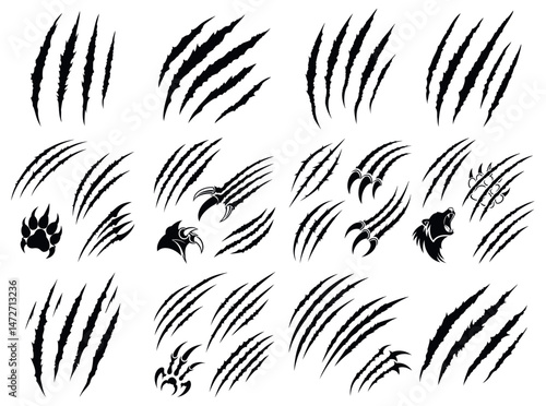 Canvas Print Animal Claw Marks and Paw Prints, set of vector graphic claw marks and paw print