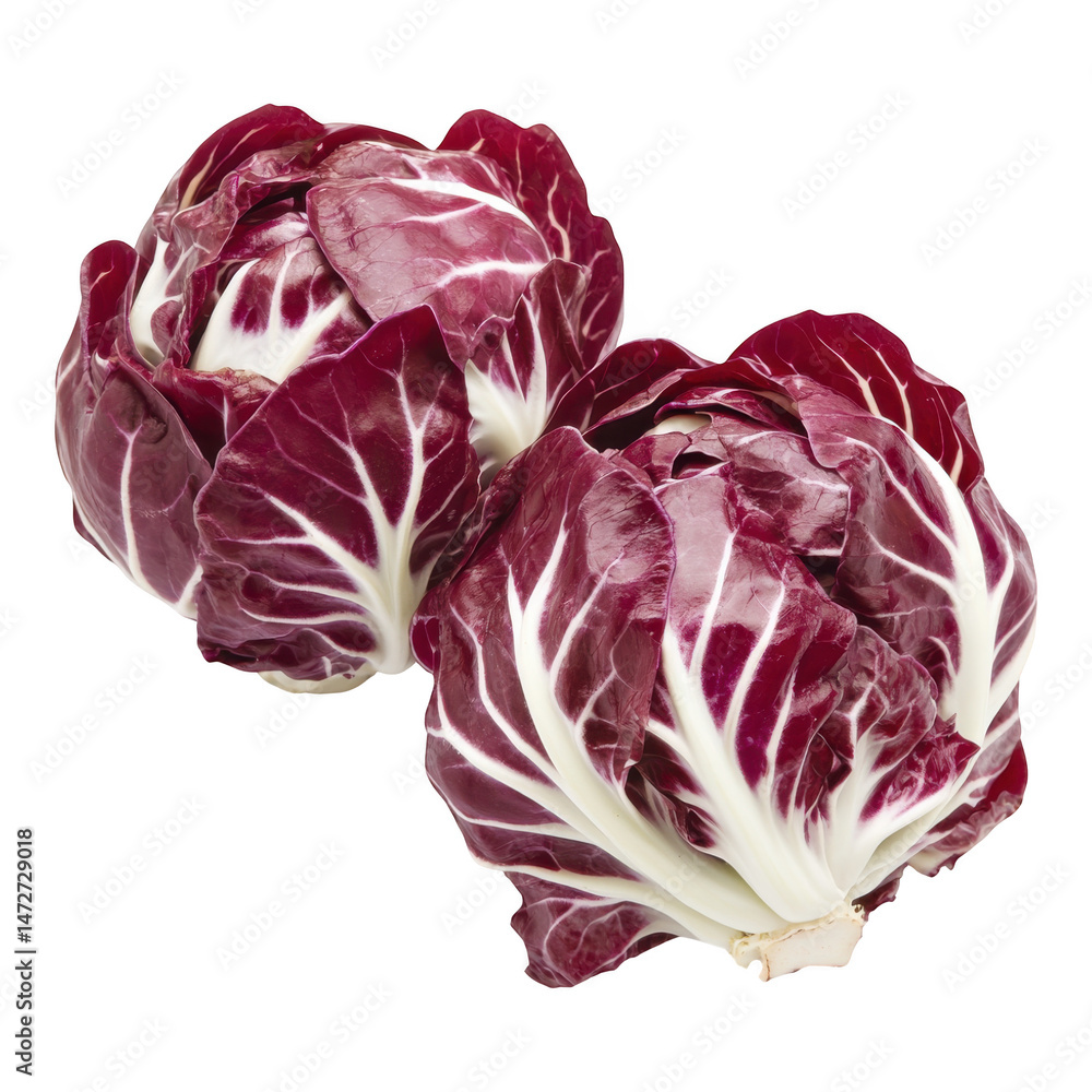 Obraz premium Two radicchio heads close up shot on transparent background