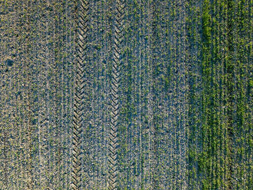 Tractor tracks visible on a field in the countryside, aerial view