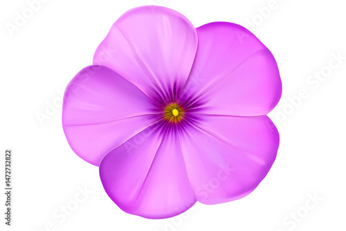 Pink flower with smooth petals and bright yellow center