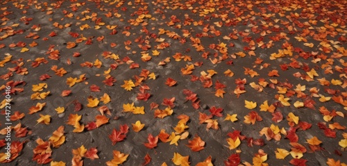 Vibrant orange, red, and yellow leaves scattered on the ground, ample copy space ,  oak,  illustration,  leaves