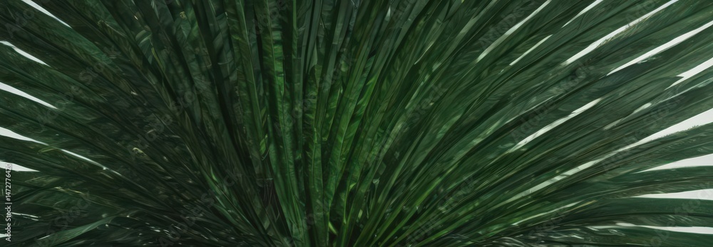 Obraz premium Deep emerald palm leaf, veins sharply defined , plant, detail, macro