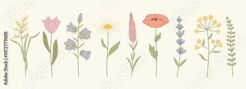 A vector set of hand-drawn wildflowers in soft natural colors. Includes poppy, lavender, chamomile, and more. Great for stickers, eco-themed designs, wedding invites, and fabric prints. Isolated 
