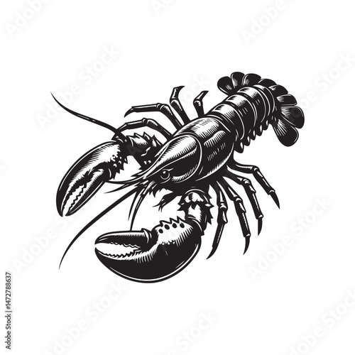 Lobster Silhouette Vector Illustration White Background
