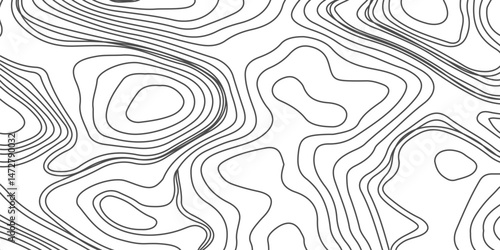 Design an artwork or concept that uses only black topographic contour lines to represent a landscape, emotion, or abstract idea. Let the absence of color heighten the focus on form, elevation, 