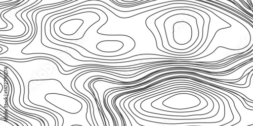 Design an artwork or concept that uses only black topographic contour lines to represent a landscape, emotion, or abstract idea. Let the absence of color heighten the focus on form, elevation, 