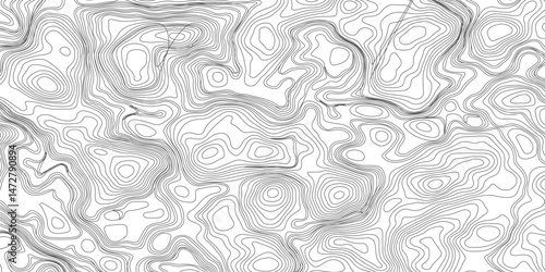 Design an artwork or concept that uses only black topographic contour lines to represent a landscape, emotion, or abstract idea. Let the absence of color heighten the focus on form, elevation, 