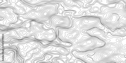 Design an artwork or concept that uses only black topographic contour lines to represent a landscape, emotion, or abstract idea. Let the absence of color heighten the focus on form, elevation, 