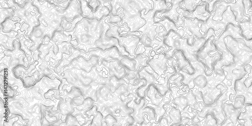 Design an artwork or concept that uses only black topographic contour lines to represent a landscape, emotion, or abstract idea. Let the absence of color heighten the focus on form, elevation, 