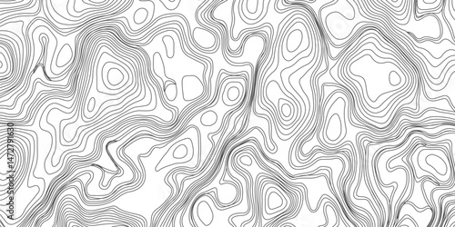 Design an artwork or concept that uses only black topographic contour lines to represent a landscape, emotion, or abstract idea. Let the absence of color heighten the focus on form, elevation, 