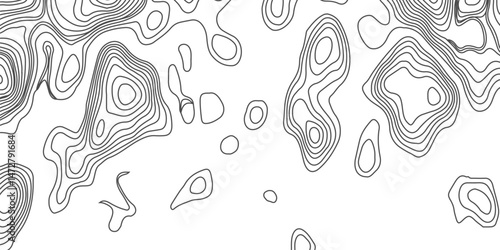 Design an artwork or concept that uses only black topographic contour lines to represent a landscape, emotion, or abstract idea. Let the absence of color heighten the focus on form, elevation, 