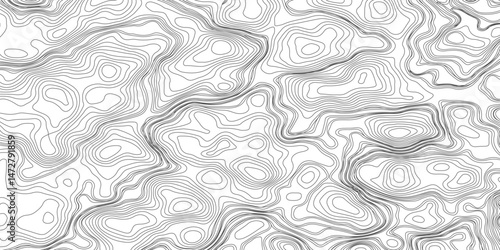 Design an artwork or concept that uses only black topographic contour lines to represent a landscape, emotion, or abstract idea. Let the absence of color heighten the focus on form, elevation, 