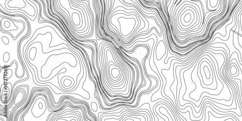 Design an artwork or concept that uses only black topographic contour lines to represent a landscape, emotion, or abstract idea. Let the absence of color heighten the focus on form, elevation, 