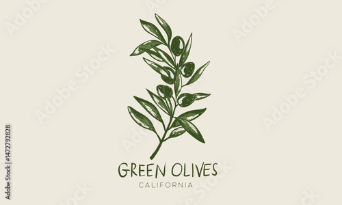 Green olive artwork for t shirt print, poster, sticker and other uses. Olive wall art.