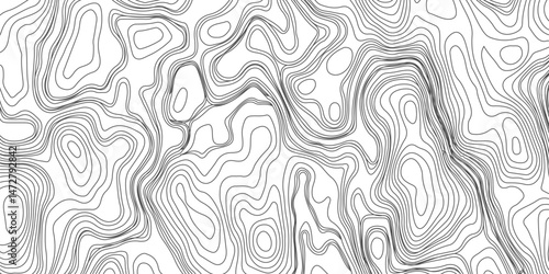 Design an artwork or concept that uses only black topographic contour lines to represent a landscape, emotion, or abstract idea. Let the absence of color heighten the focus on form, elevation, 