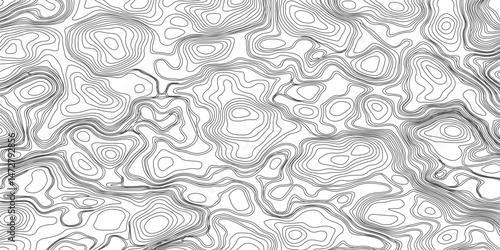 Design an artwork or concept that uses only black topographic contour lines to represent a landscape, emotion, or abstract idea. Let the absence of color heighten the focus on form, elevation, 