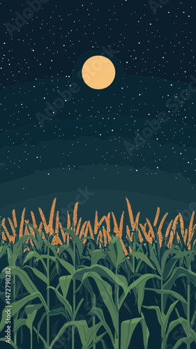Full moon over corn field under starry night sky flat minimalist vector illustration of agricultural landscape at night with healthy green corn plants and golden moonlight